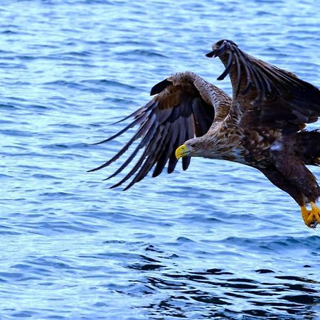 Ocean View Tind Lofoten โมสคิเนส ภายนอก รูปภาพ
